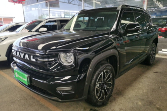 哈弗大狗 PLUS 新能源 2026款 Hi4 150km 潮电版