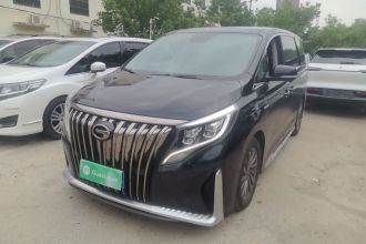 广汽传祺 传祺M8 2021款 大师系列 390T 至尊版