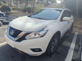 日产 楼兰 2019款 2.5L XL 两驱智联豪华版 国VI