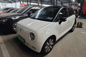 欧拉黑猫 2021款 301km 基础型