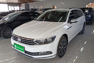 大众 蔚揽 2017款 380TSI 两驱舒行版
