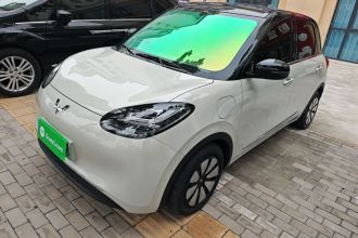 五菱汽车 五菱缤果 2024款 333km 悦享款