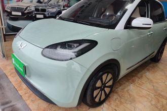 五菱汽车 五菱缤果 2023款 333km 悦享款