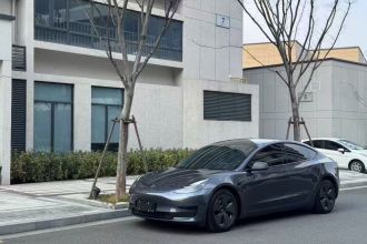 特斯拉 Model 3 2021款 标准续航后驱升级版 3D6
