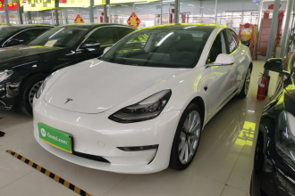 特斯拉 Model 3(进口) 2019款 长续航后驱版