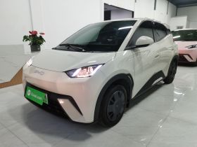 比亚迪 海鸥 2025款 305km 活力版