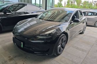 特斯拉 Model 3 2021款 标准续航后驱升级版 3D6