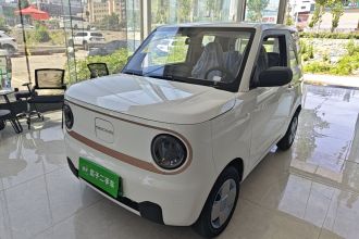 吉利银河 2024款 熊猫mini 200km 耐力熊