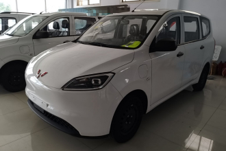 五菱汽车 五菱宏光新能源 2024款 纯电版 300KM 标准型