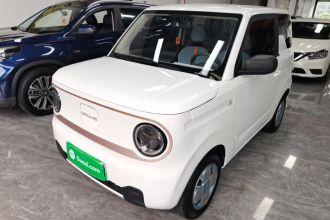 吉利银河 2023款 熊猫mini 120km 超萌熊