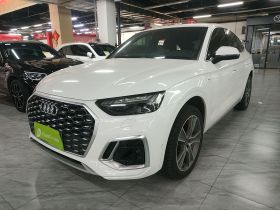 奥迪Q5L Sportback 2022款 45 TFSI 豪华型