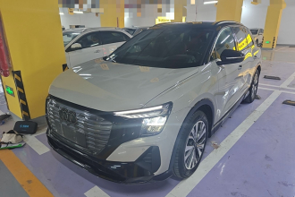 奥迪Q5 e-tron 2023款 40 e-tron 闪耀型 锦衣套装