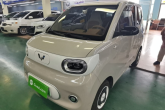 五菱汽车 宏光MINIEV 2024款 第三代 215km 青春版