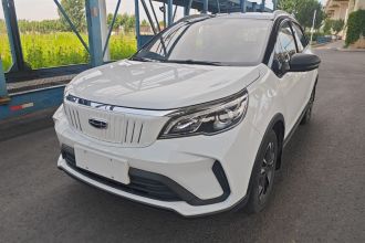 吉利几何 EX3 功夫牛 2021款 坚强牛牛