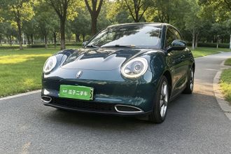 欧拉好猫 2021款 400km标准续航 维纳斯版 磷酸铁锂