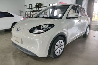 五菱汽车 五菱缤果 2023款 333km 快享款