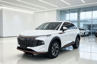 哈弗神兽 2023款 1.5T 智享版