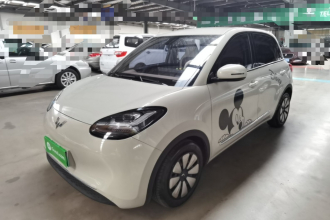 五菱汽车 五菱缤果 2023款 203km 舒享款