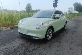 欧拉好猫 2022款 莫兰迪版 400km标准续航 尊贵型 三元锂