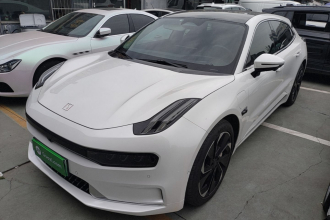 极氪001 2022款 长续航双电机 WE版