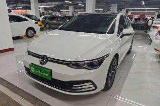 大众 高尔夫 2023款 改款 280TSI DSG Pro