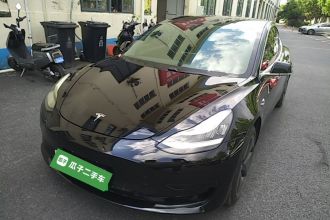 特斯拉 Model 3 2020款 标准续航后驱升级版