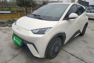 比亚迪 海鸥 2025款 305km 活力版