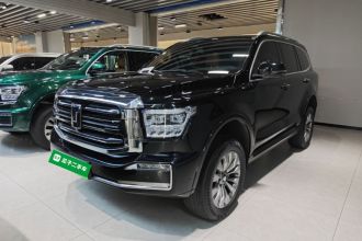 坦克500新能源 2024款 Hi4-T