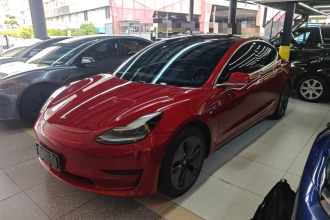 特斯拉 Model 3 2020款 标准续航后驱升级版