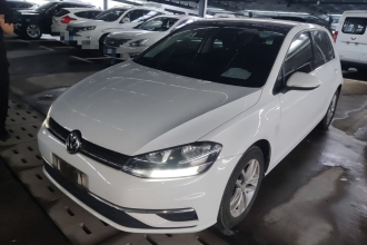 大众 高尔夫 2019款 200TSI DSG舒适进取版 国VI