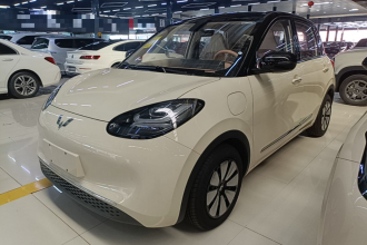 五菱汽车 五菱缤果 2025款 333km 悦享款