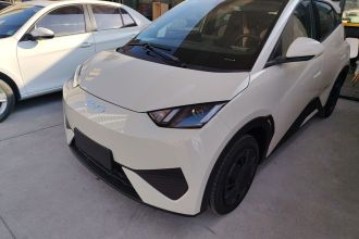 比亚迪 海鸥 2025款 智驾版 305km 活力版