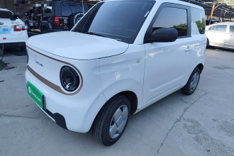 吉利银河 2024款 熊猫mini 200km 耐力熊