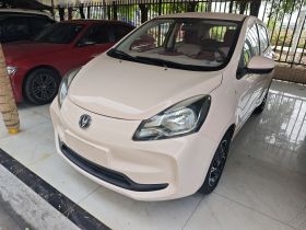 长安 奔奔E-Star 2021款 国民版 多彩款 磷酸铁锂（31.86kWh）