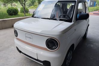 吉利银河 2024款 熊猫mini 200km 耐力熊