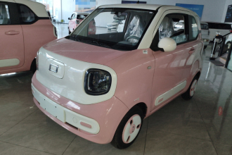 奔腾小马 2024款 170km 元气马