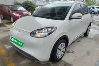 五菱汽车 五菱缤果 2023款 203km 轻享款