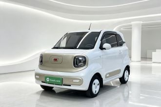 奔腾小马 2024款 170km 元气马