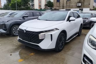 启辰大V 2021款 260T 爱豆版