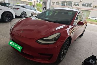 特斯拉 Model 3 2019款 标准续航后驱升级版