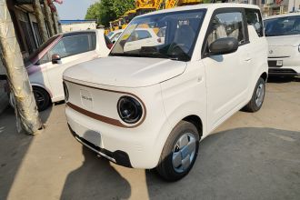 吉利银河 2024款 熊猫mini 200km 耐力熊