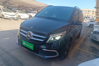 奔驰V级 2021款 V 260 尊贵版