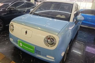 欧拉黑猫 2021款 301km 基础型