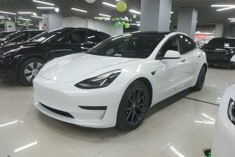 特斯拉 Model 3 2021款 改款 标准续航后驱升级版 3D1