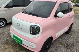 奔腾小马 2025款 222km 闪电马