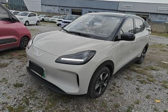 五菱汽车 五菱缤果PLUS 2024款 510km 五座版