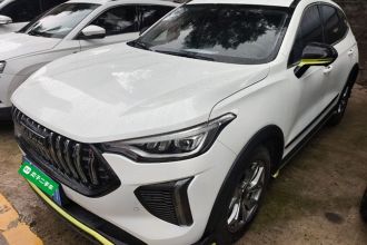 哈弗赤兔 2022款 劲享版 1.5T 紫铜兔