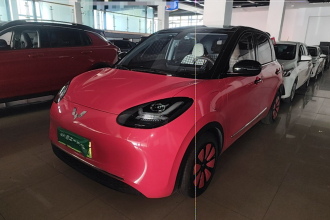 五菱汽车 五菱缤果 2023款 333km 悦享+款