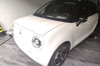 欧拉黑猫 2022款 351km 舒享型 磷酸铁锂