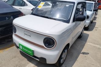吉利银河 2024款 熊猫mini 200km 耐力熊